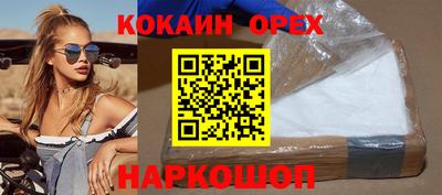 крисы Моздок