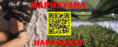крисы Моздок