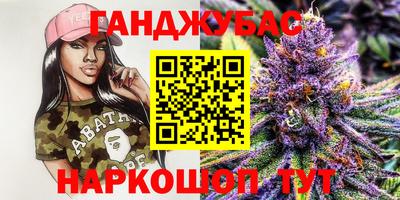крисы Моздок