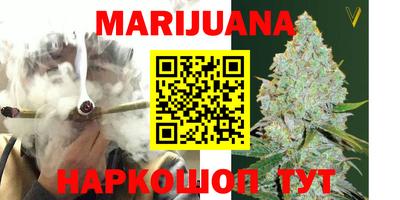 крисы Моздок