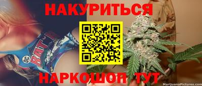 крисы Моздок