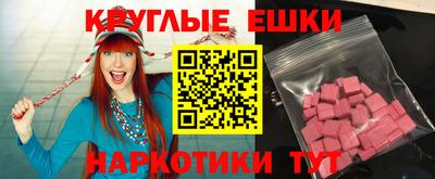 крисы Моздок