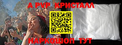 крисы Моздок
